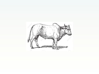 CCAFS Low emissions development (LED) activities funded by USAID