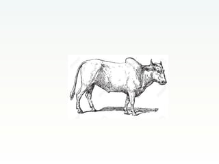 CCAFS Low emissions development (LED) activities funded by USAID