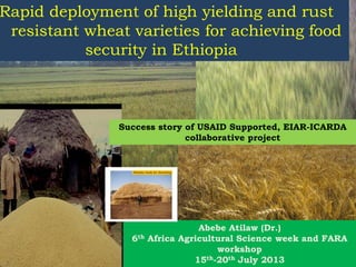 Rapid deployment of high yielding and rust
resistant wheat varieties for achieving food
security in Ethiopia
Abebe Atilaw (Dr.)
6th Africa Agricultural Science week and FARA
workshop
15th-20th July 2013
Success story of USAID Supported, EIAR-ICARDA
collaborative project
Kakaba ready for threshing
 