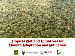 Tropical Wetland Initiatives for
        Climate Adaptation and Mitigation

THINKING beyond the canopy
 