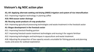 Rice in Vietnam emissions, NDC planning and actions, feasibility analysis of LED options