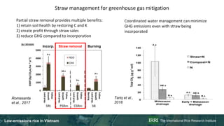 Rice in Vietnam emissions, NDC planning and actions, feasibility analysis of LED options