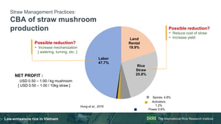 Rice in Vietnam emissions, NDC planning and actions, feasibility analysis of LED options