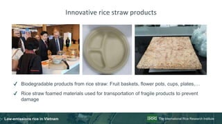 Rice in Vietnam emissions, NDC planning and actions, feasibility analysis of LED options