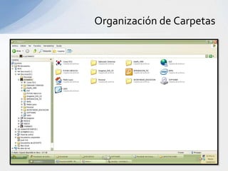 Organización de Carpetas