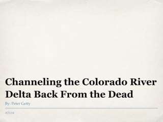 Channeling the Colorado River 
Delta Back From the Dead 
By: Peter Getty 
8/21/14 
 