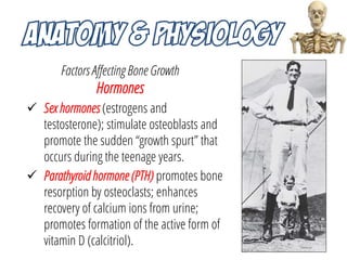 Factors Affecting Bone Growth
Hormones
 Sex hormones (estrogens and
testosterone); stimulate osteoblasts and
promote the ...
