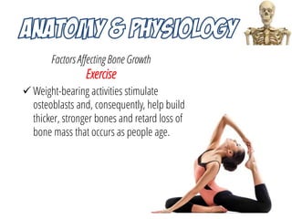 Factors Affecting Bone Growth
Exercise
 Weight-bearing activities stimulate
osteoblasts and, consequently, help build
thi...