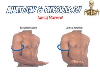 Types of Movement
 