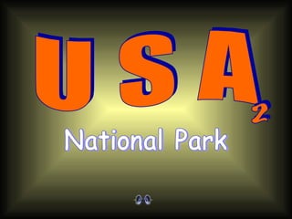 U S A National Park 2 