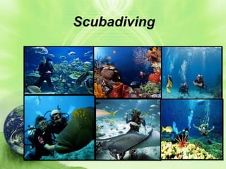 Scubadiving

 
