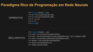 Paradigma Rico de Programação em Rede Neurais
 
