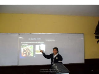 Licº William vegazo Muro  [email_address] 