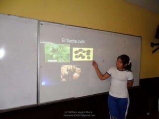 Licº William vegazo Muro  [email_address] 