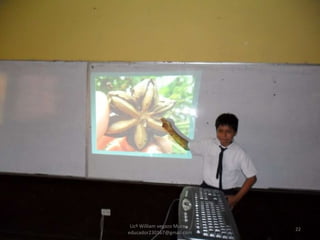 Licº William vegazo Muro  [email_address] 