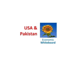 USA &
Pakistan
Economic
Whiteboard
 