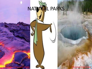 NATURAL PARKS,[object Object],YELLOWSTONE PARK,[object Object],HAWAI´S VOLCANIC PARK,[object Object]