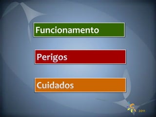 FuncionamentoPerigosCuidados2011