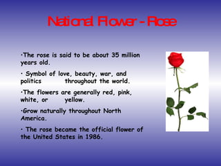 National Flower - Rose The rose is said to be about 35 million years old. Symbol of love, beauty, war, and politics  throughout the world.  The flowers are generally red, pink, white, or  yellow. Grow naturally throughout North America. The rose became the official flower of the United States in 1986. 