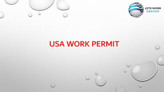 USA WORK PERMIT
 