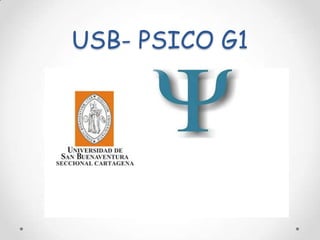 USB- PSICO G1  