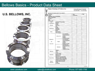 US Bellows 101 | PPT