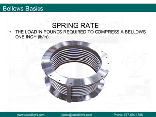 US Bellows 101 | PPT