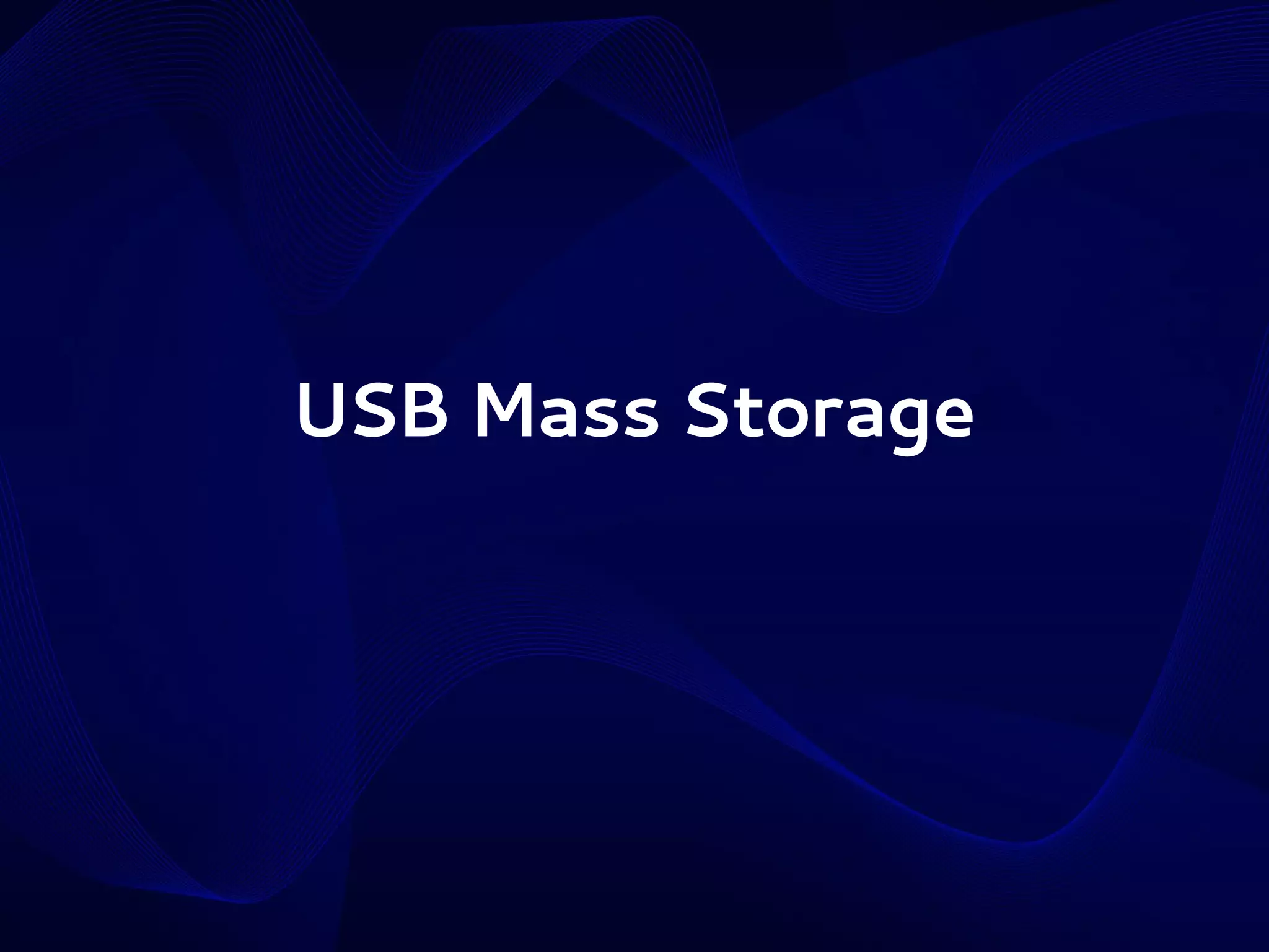 USB Mass Storage

 