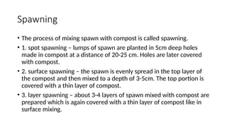 Spawning Def A ETHNOBOTANY AND MUSHROOM INDUSTRY.pptx