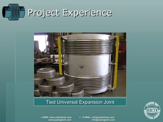 Project Experience Tied Universal Expansion Joint 
