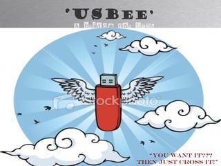 ‘USBee’
A bridge for USBs
“You want it???
Then just Cross it!”
 
