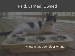 Paid, Earned, Owned

Know what bowl does what.

 
