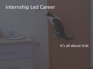 Internship Led Career

It’s all about trial.

 