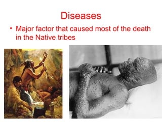 Diseases
• Major factor that caused most of the death
in the Native tribes
 