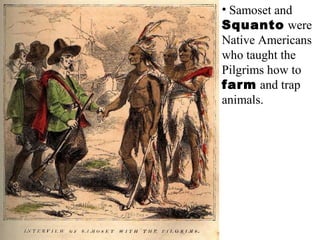 • Samoset and
Squanto were
Native Americans
who taught the
Pilgrims how to
farm and trap
animals.
 