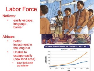 Labor Force
Natives:
• easily escape,
language
barrier
African:
• better
investment in
the long run
• Unable to
escape easily
(new land area)
– saw dark skin
as inferior
 
