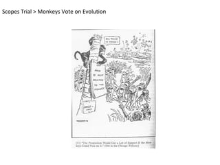 Scopes Trial > Monkeys Vote on Evolution
 