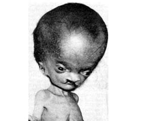 US CH 32 Carter 2019