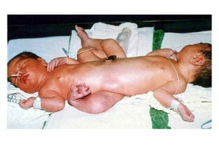 US CH 32 Carter 2019