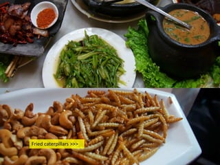 Fried caterpillars >>>

 