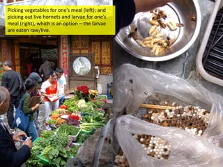 Picking vegetables for one’s meal (left); and
picking out live hornets and larvae for one’s
meal (right), which is an option – the larvae
are eaten raw/live.

 