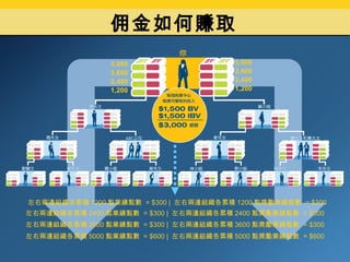 佣金如何賺取 左右兩邊組織各累積 1200 點業績點數   = $300  |  左右兩邊組織各累積 1200 點獎勵業績點數   = $300 左 右兩邊組織各累積 2400 點業績點數   = $300  |  左右兩邊組織各累積 2400 點獎勵業績點數   = $300 左右兩邊組織各累積 3600 點業績點數   = $300  |  左右兩邊組織各累積 3600 點獎勵業績點數   = $300 左右兩邊組織各累積 5000 點業績點數   = $600  |  左右兩邊組織各累積 5000 點獎勵業績點數   = $600 1,200 2,400 3,600 5,000 1,200 2,400 3,600 5,000 