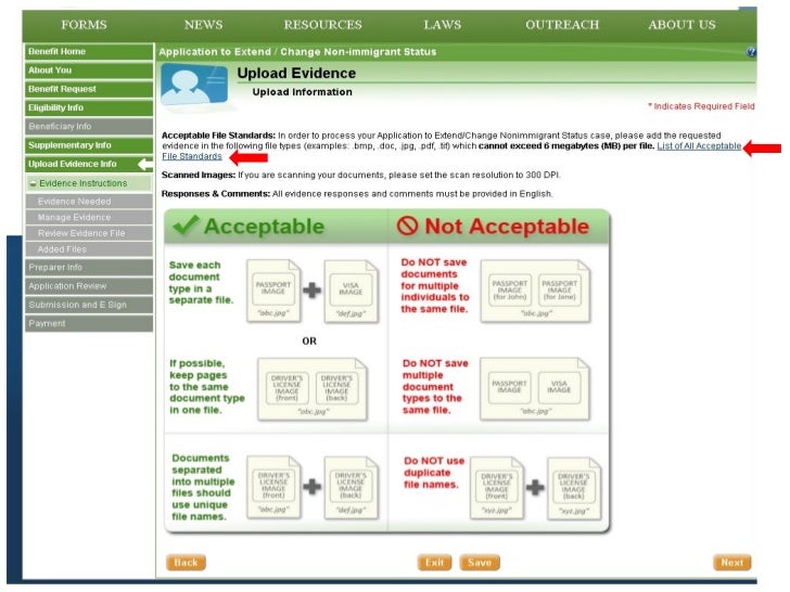 USCIS Electronic Immigration System