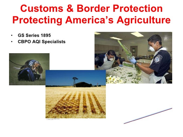 US Customs & Border Protection/Jobs for Everyone