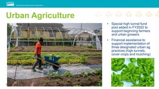 Urban Agriculture
• Special high tunnel fund
pool added in FY2022 to
support beginning farmers
and urban growers
• Financial assistance to
support implementation of
three designated urban ag
practices (high tunnels,
cover crops and mulching)
 