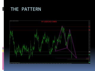 THE PATTERN
 