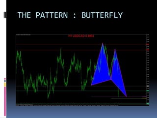 THE PATTERN : BUTTERFLY
 
