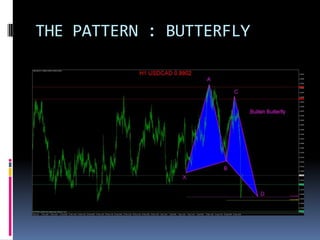 THE PATTERN : BUTTERFLY
 