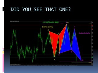 DID YOU SEE THAT ONE?
 