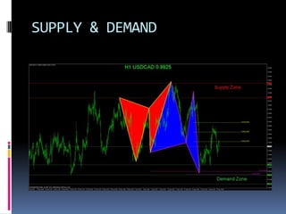 SUPPLY & DEMAND
 